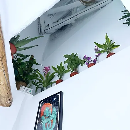 Casita Norma Tiny *